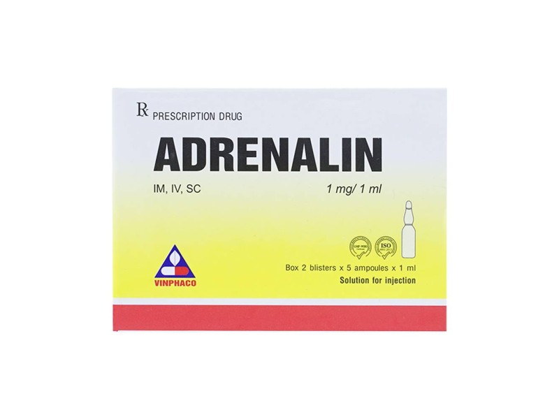 Dung dịch tiêm Adrenalin 1mg/1ml (2 vỉ x 5 ống/hộp)