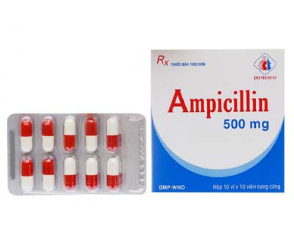 Thuốc kháng sinh Ampicillin 500mg Domesco (10 vỉ x 10 viên/hộp)