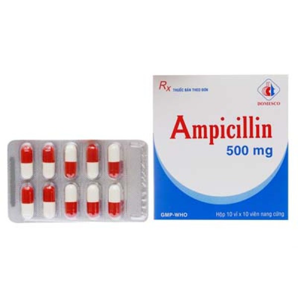 Thuốc kháng sinh Ampicillin 500mg DMC (10 vỉ x 10 viên/hộp)
