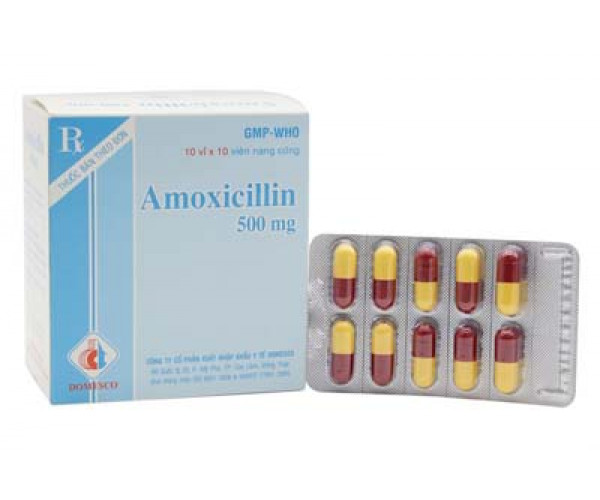 Thuốc kháng sinh Amoxicillin 500mg Domesco (10 vỉ x 10 viên/hộp)