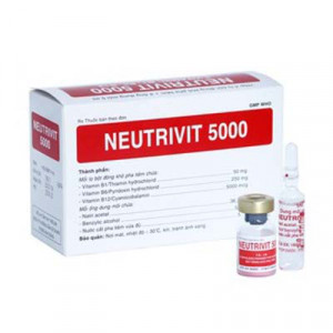 Bột đông khô pha tiêm Neutrivit 5000