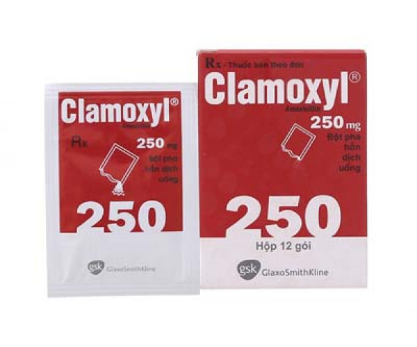 Thuốc kháng sinh Clamoxyl 250mg (12 gói/hộp)