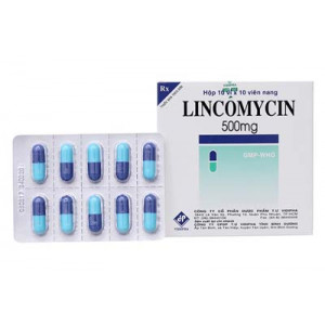 Thuốc kháng sinh Lincomycin 500mg Vidipha (10 vỉ x 10 viên/hộp)