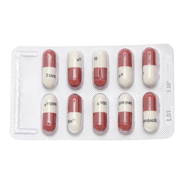 Thuốc kháng sinh Standacillin 500mg