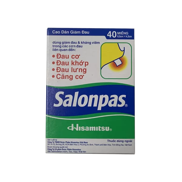 Salonpas (40 pcs/box)