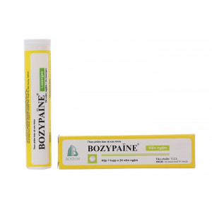 Viên ngậm nhuận phế giảm ho Bozypaine (24 viên/tube)
