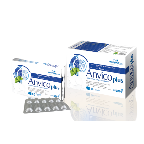 Viên uống tăng cường tuần hoàn máu não Anvico Plus (3 vỉ x 10 viên/hộp)