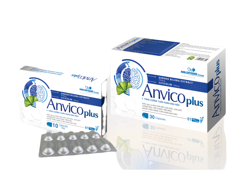 Viên uống tăng cường tuần hoàn máu não Anvico Plus (3 vỉ x 10 viên/hộp)