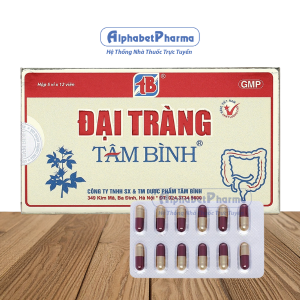 Viên uống hỗ trợ điều trị viêm đại tràng cấp và mãn tính Đại Tràng Tâm Bình (5 vỉ x 12 viên/hộp)