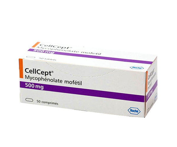 Thuốc điều trị dự phòng thải ghép Cellcept 500mg (50 viên/hộp)