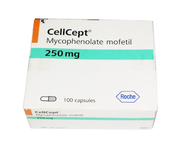 Thuốc điều trị dự phòng thải ghép Cellcept 250mg (100 viên/hộp)