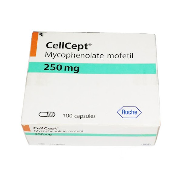 Thuốc điều trị dự phòng thải ghép Cellcept 250mg (100 viên/hộp)
