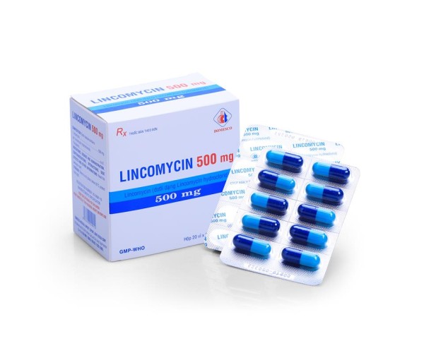 Thuốc kháng sinh Lincomycin Domesco 500mg (20 vỉ x 10 viên/hộp)