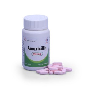Thuốc kháng sinh Amoxicillin 250mg DMC (100 viên ngậm/chai)