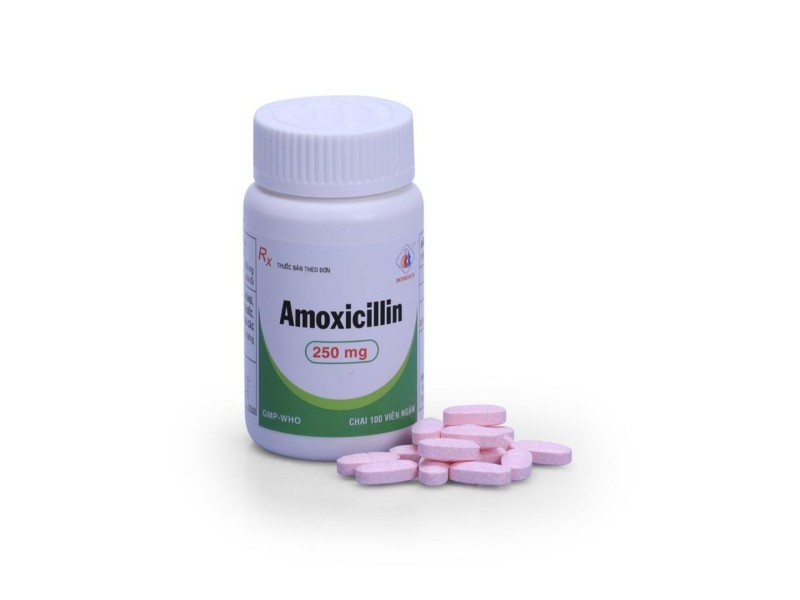 Thuốc kháng sinh Amoxicillin 250mg DMC (100 viên ngậm/chai)