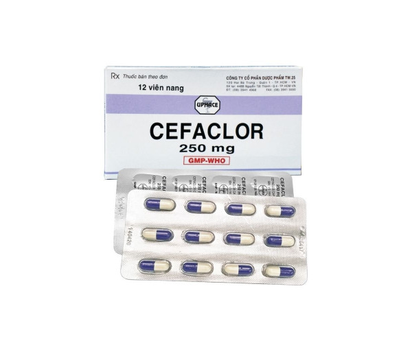 Thuốc kháng sinh Cefaclor 250mg Uphace (12 viên/hộp)
