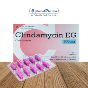 Thuốc kháng sinh Clindamycin EG 300mg (10 vỉ x 10 viên/hộp)
