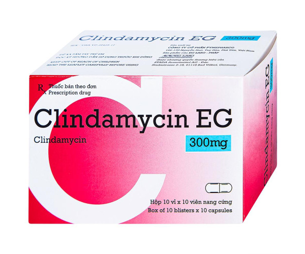 Thuốc kháng sinh Clindamycin EG 300mg (10 vỉ x 10 viên/hộp)