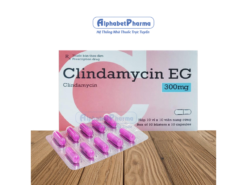 Thuốc kháng sinh Clindamycin EG 300mg (10 vỉ x 10 viên/hộp)