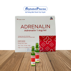 Dung dịch tiêm Adrenalin 1mg/1ml (2 vỉ x 5 ống/hộp)