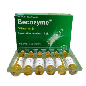 Dung dịch tiêm Becozyme (12 ống/hộp)