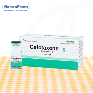 Thuốc bột pha tiêm Cefotaxone 1g (10 lọ/hộp)
