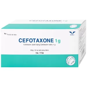 Thuốc bột pha tiêm Cefotaxone 1g (10 lọ/hộp)