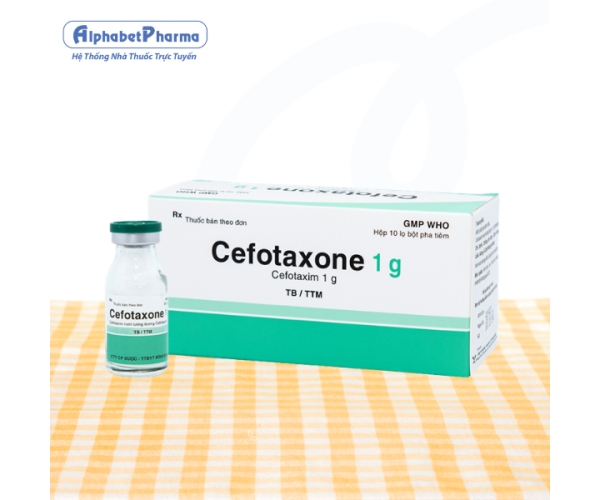 Thuốc bột pha tiêm Cefotaxone 1g (10 lọ/hộp)