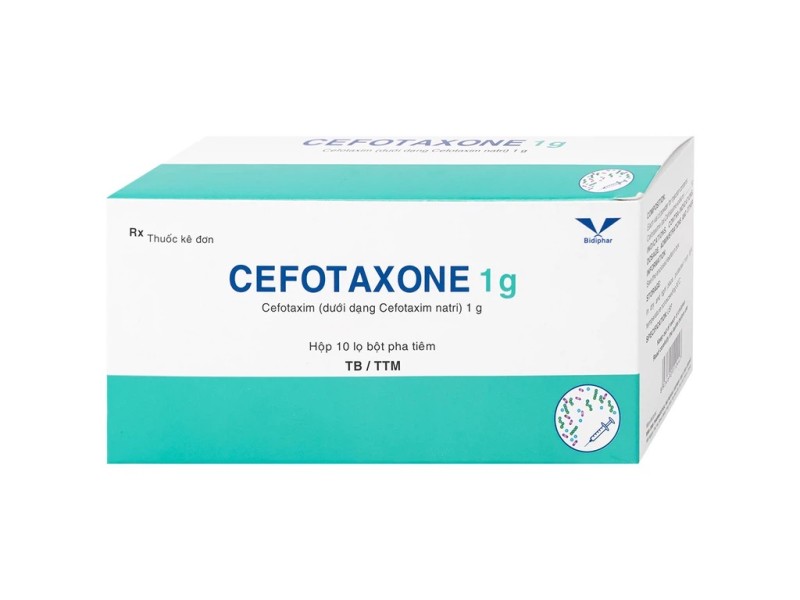Thuốc bột pha tiêm Cefotaxone 1g (10 lọ/hộp)
