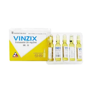  Dung dịch tiêm Vinzix 20mg/2ml (10 ống/hộp)