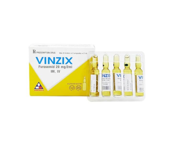  Dung dịch tiêm Vinzix 20mg/2ml (10 ống/hộp)