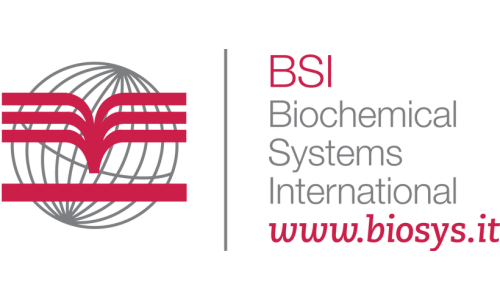 BSI