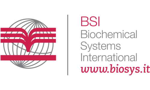 BSI